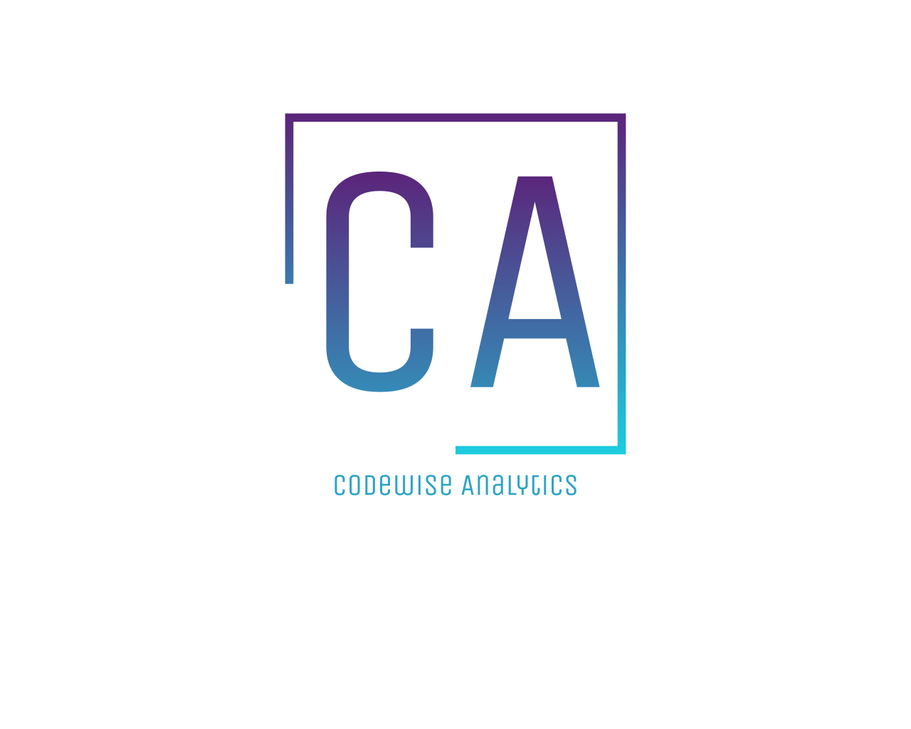Codewise Analytics Inc